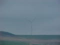 22 Wind Farm from Gurness