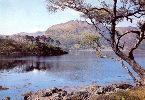 30 Loch Sunart